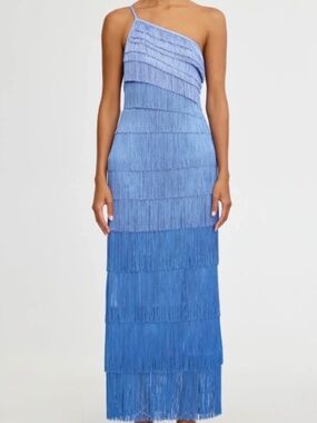 Significant Other Fringe Maxi Dress, NWT, Never Worn